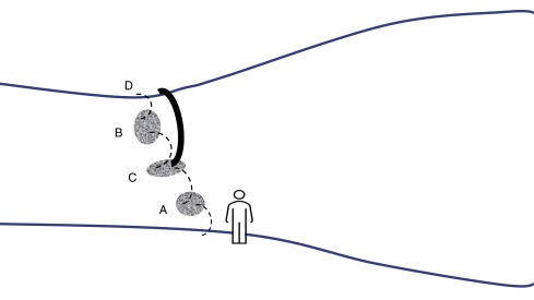 Visual diagram showing progressive learning path with connected milestones for slow living education